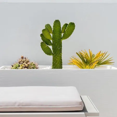 Deluxe Maspalomas (Gran Canaria)