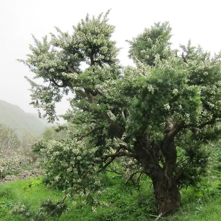 Deluxe Villa Maspalomas (Gran Canaria)
