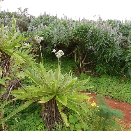 Deluxe Villa Maspalomas (Gran Canaria)