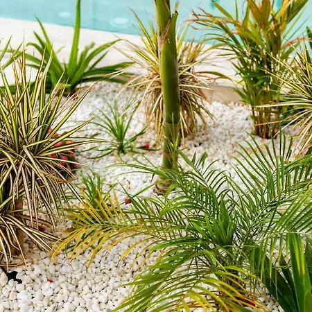 Deluxe Maspalomas (Gran Canaria)