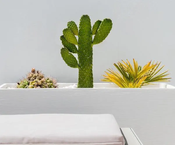 Deluxe Maspalomas (Gran Canaria)