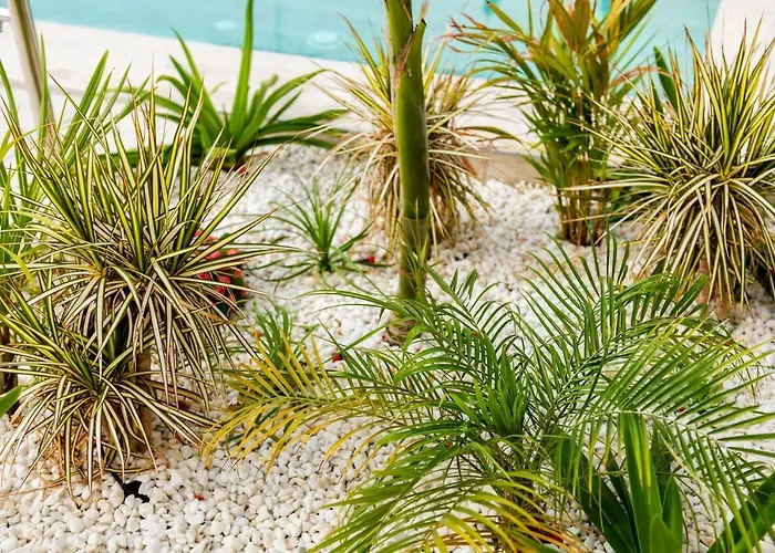 Deluxe Maspalomas (Gran Canaria)