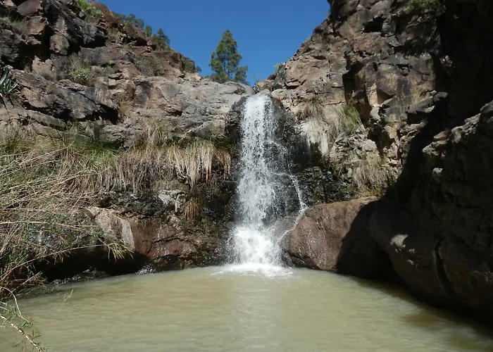 Deluxe מספאלומס