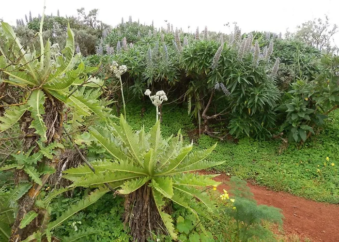 Deluxe וילה מספאלומס