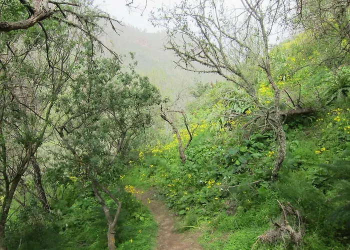 Deluxe 마스팔로마스